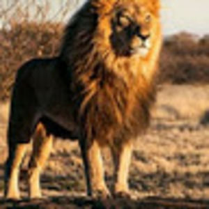 Meet your Posher, Vic